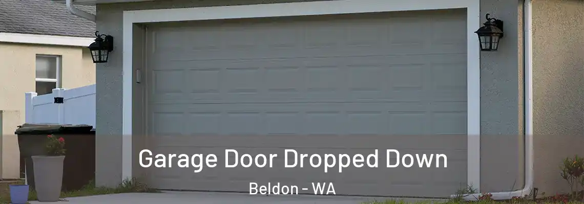  Garage Door Dropped Down Beldon - WA
