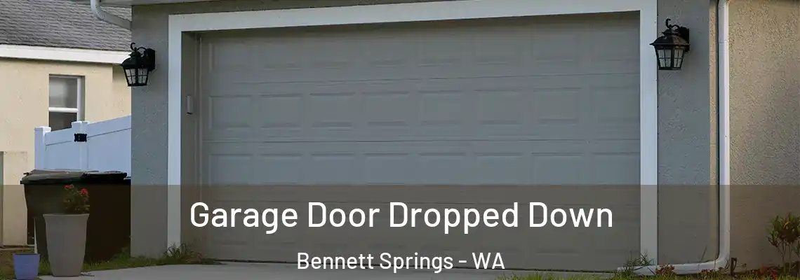  Garage Door Dropped Down Bennett Springs - WA