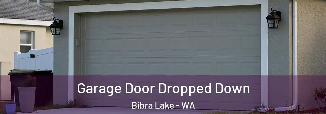  Garage Door Dropped Down Bibra Lake - WA