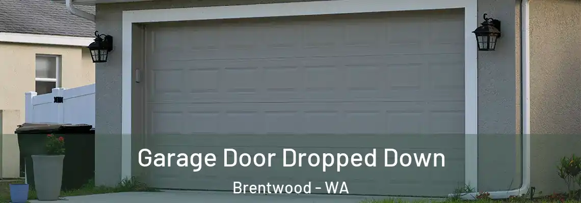  Garage Door Dropped Down Brentwood - WA