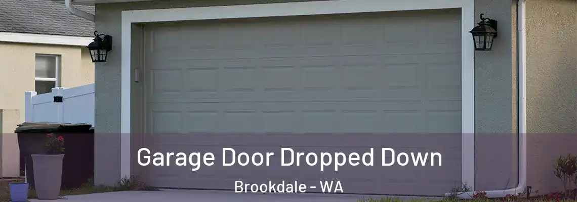  Garage Door Dropped Down Brookdale - WA