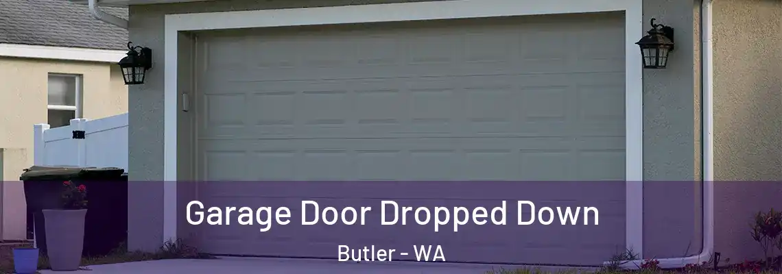  Garage Door Dropped Down Butler - WA