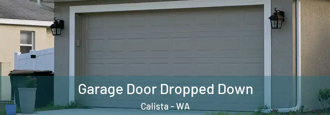 Garage Door Dropped Down Calista - WA