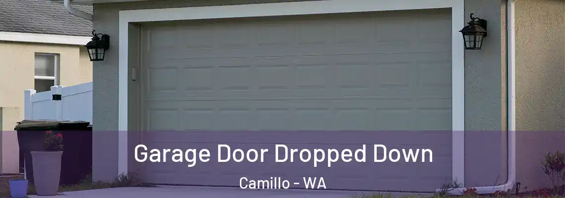  Garage Door Dropped Down Camillo - WA