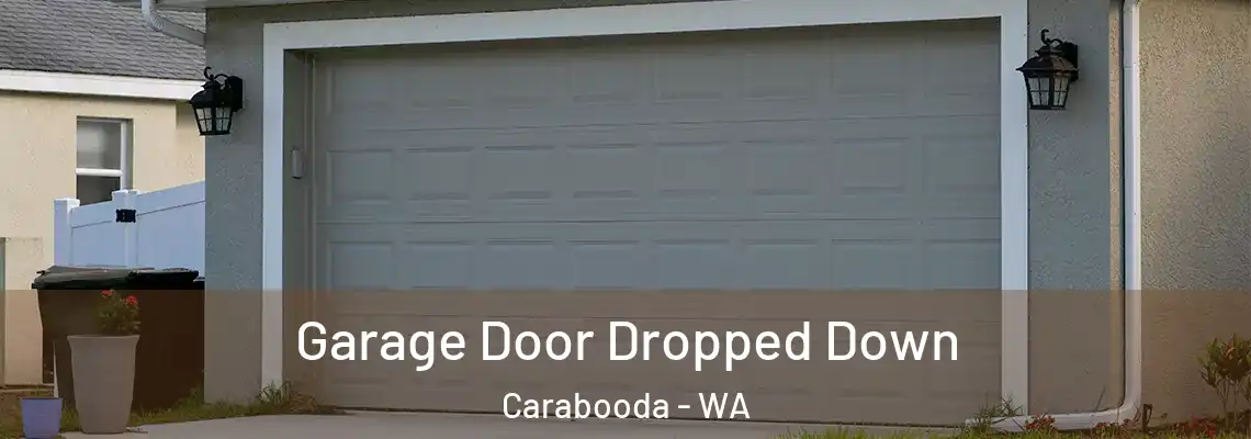  Garage Door Dropped Down Carabooda - WA