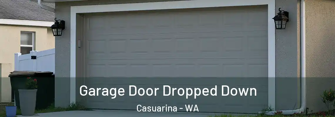 Garage Door Dropped Down Casuarina - WA