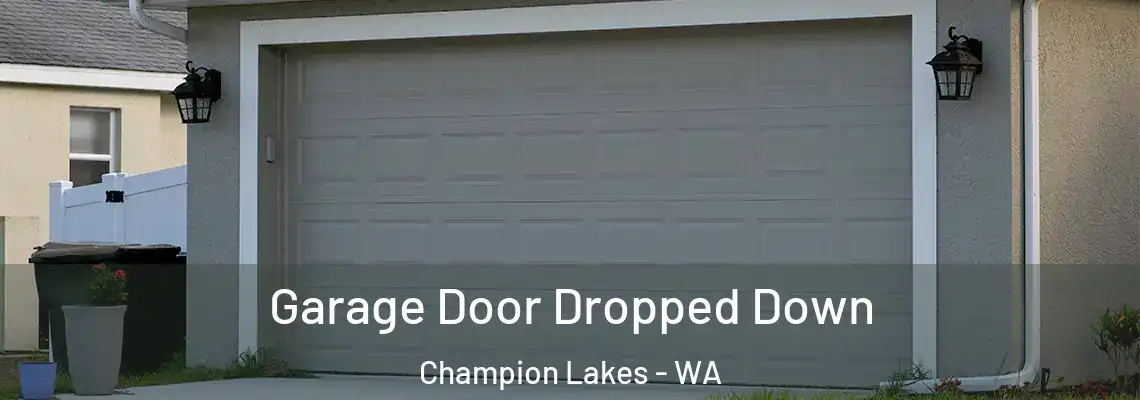  Garage Door Dropped Down Champion Lakes - WA