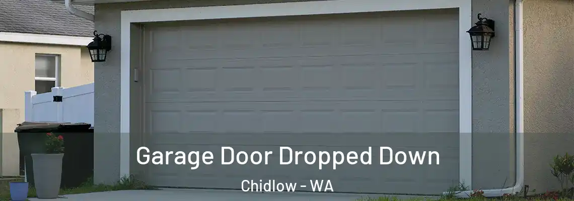  Garage Door Dropped Down Chidlow - WA