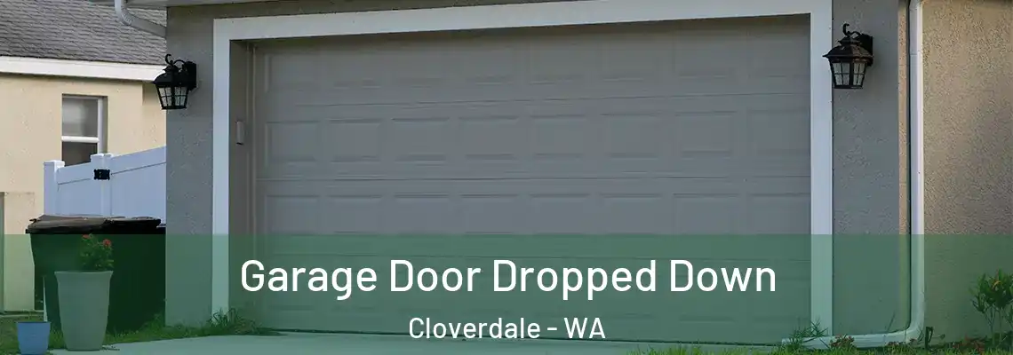 Garage Door Dropped Down Cloverdale - WA