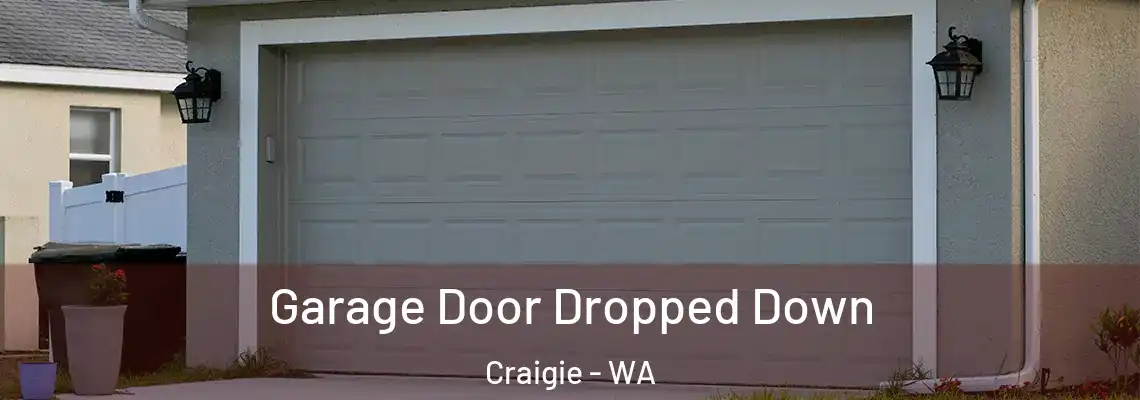  Garage Door Dropped Down Craigie - WA