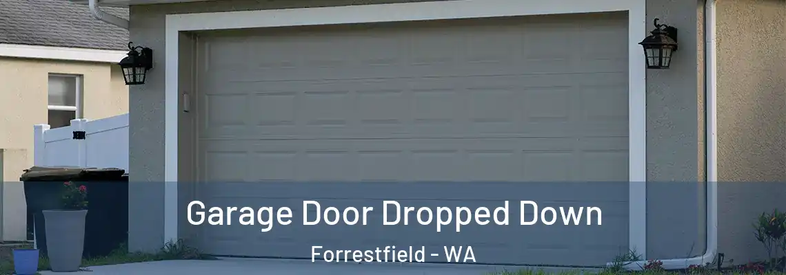  Garage Door Dropped Down Forrestfield - WA
