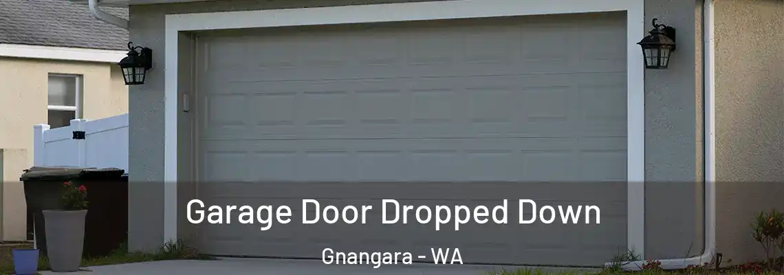  Garage Door Dropped Down Gnangara - WA