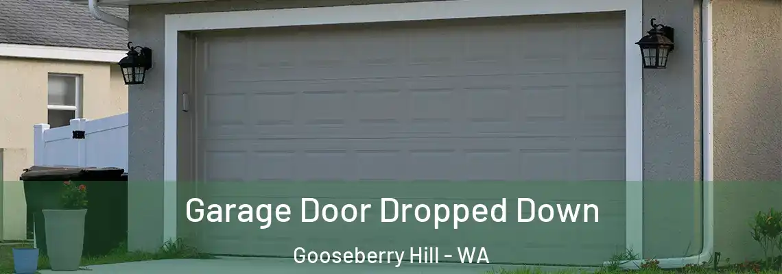  Garage Door Dropped Down Gooseberry Hill - WA