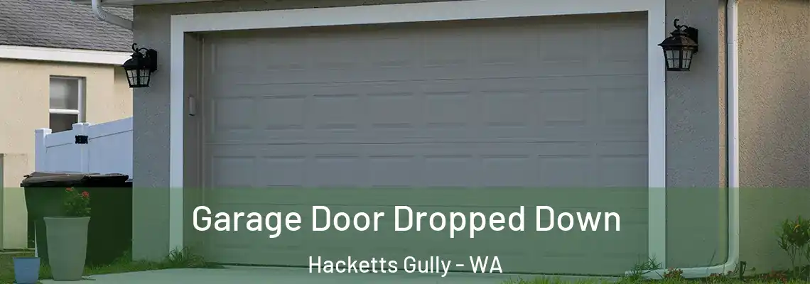  Garage Door Dropped Down Hacketts Gully - WA
