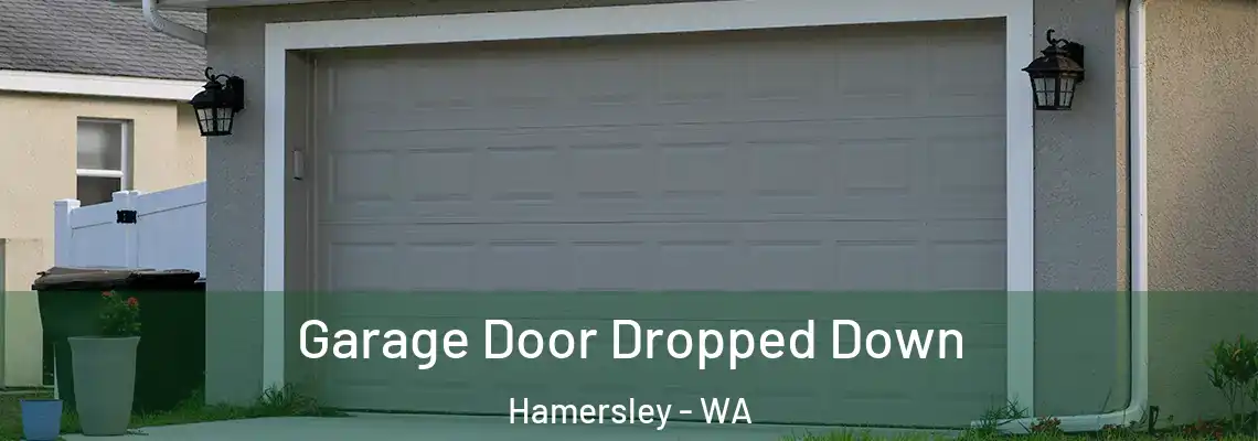  Garage Door Dropped Down Hamersley - WA
