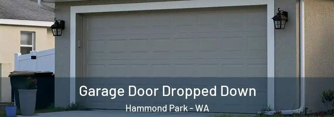  Garage Door Dropped Down Hammond Park - WA