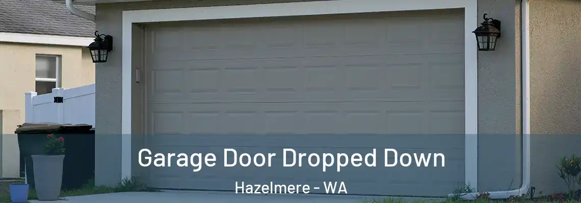  Garage Door Dropped Down Hazelmere - WA