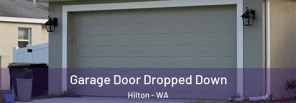 Garage Door Dropped Down Hilton - WA