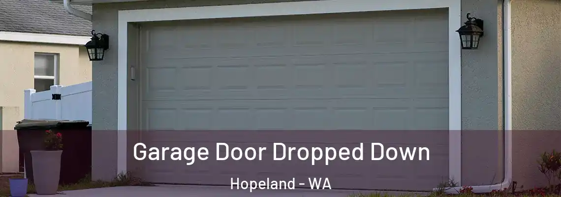  Garage Door Dropped Down Hopeland - WA