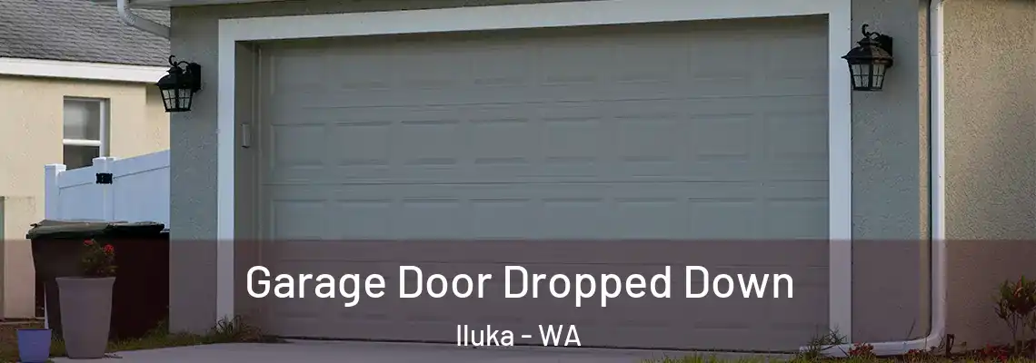  Garage Door Dropped Down Iluka - WA