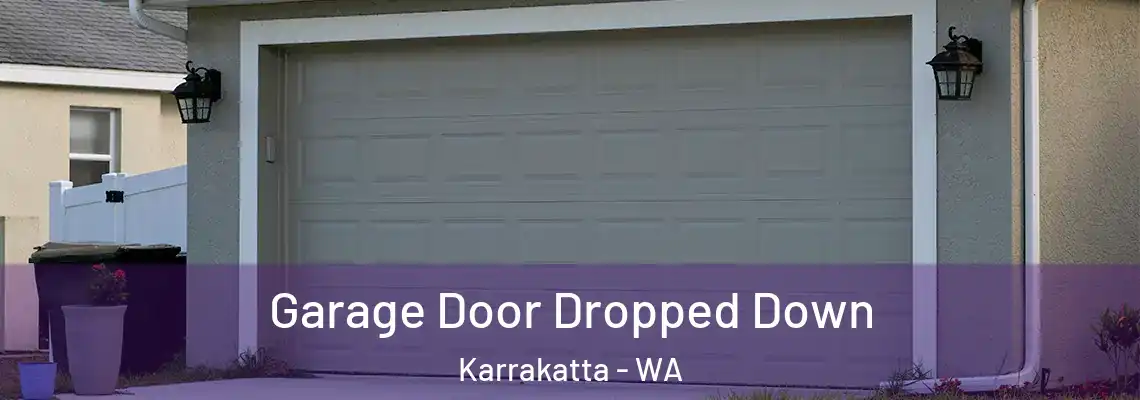  Garage Door Dropped Down Karrakatta - WA