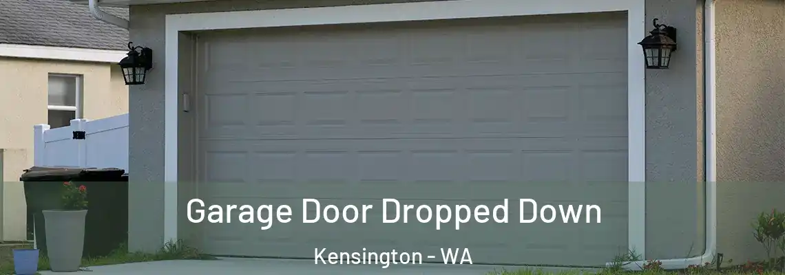  Garage Door Dropped Down Kensington - WA