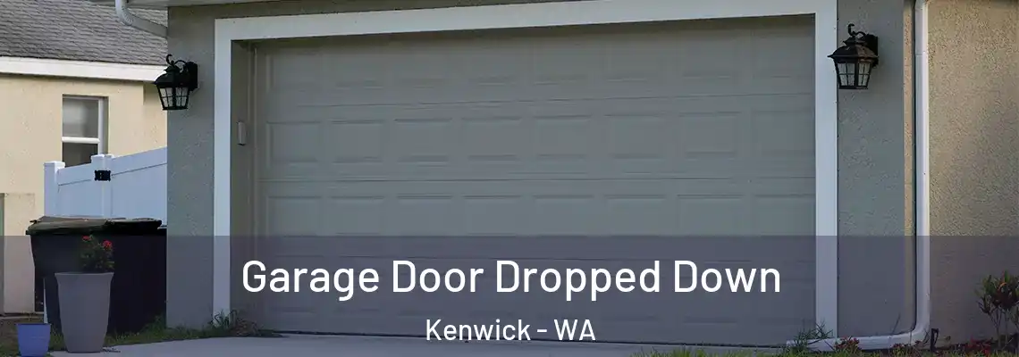  Garage Door Dropped Down Kenwick - WA