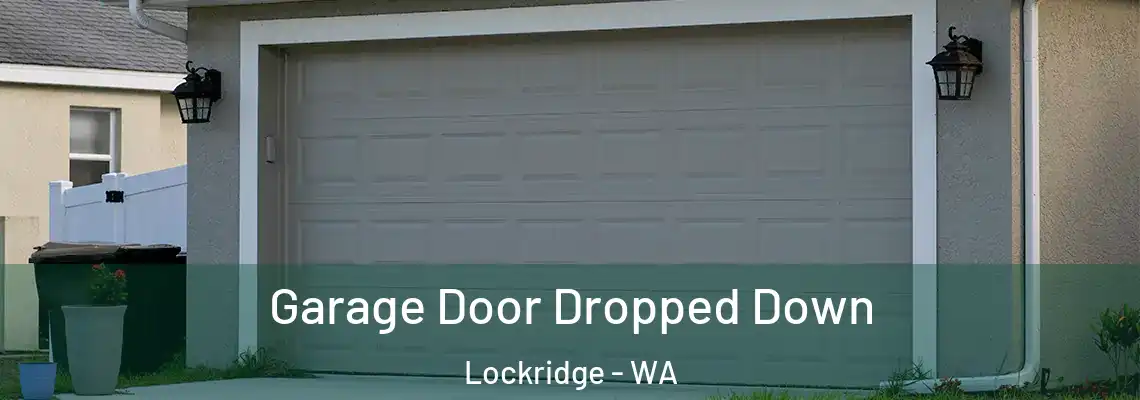 Garage Door Dropped Down Lockridge - WA