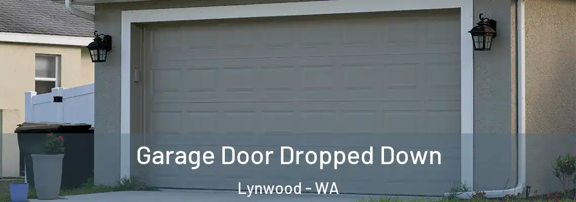  Garage Door Dropped Down Lynwood - WA