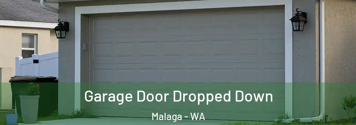 Garage Door Dropped Down Malaga - WA