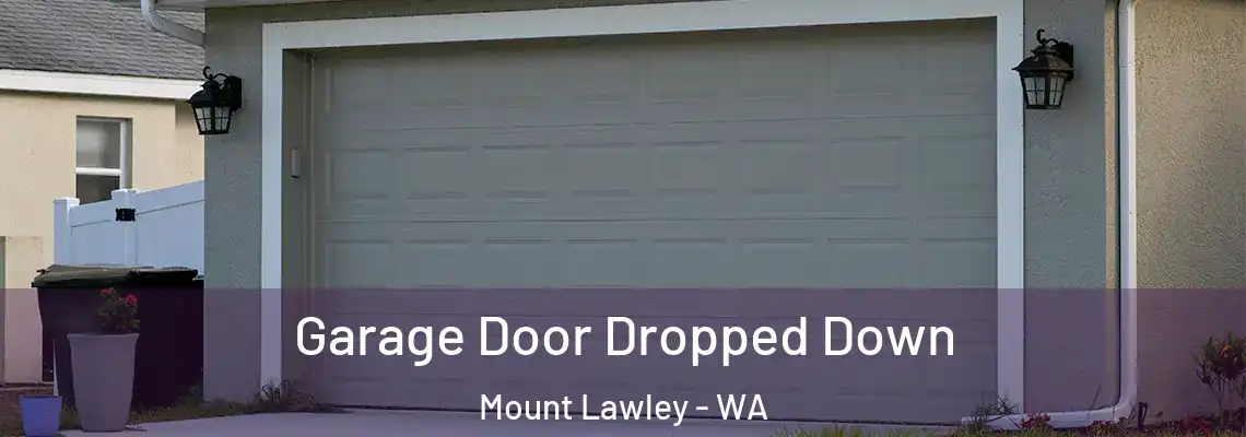  Garage Door Dropped Down Mount Lawley - WA