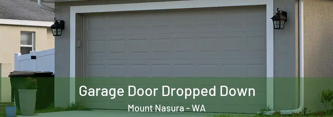  Garage Door Dropped Down Mount Nasura - WA