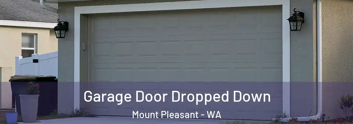  Garage Door Dropped Down Mount Pleasant - WA