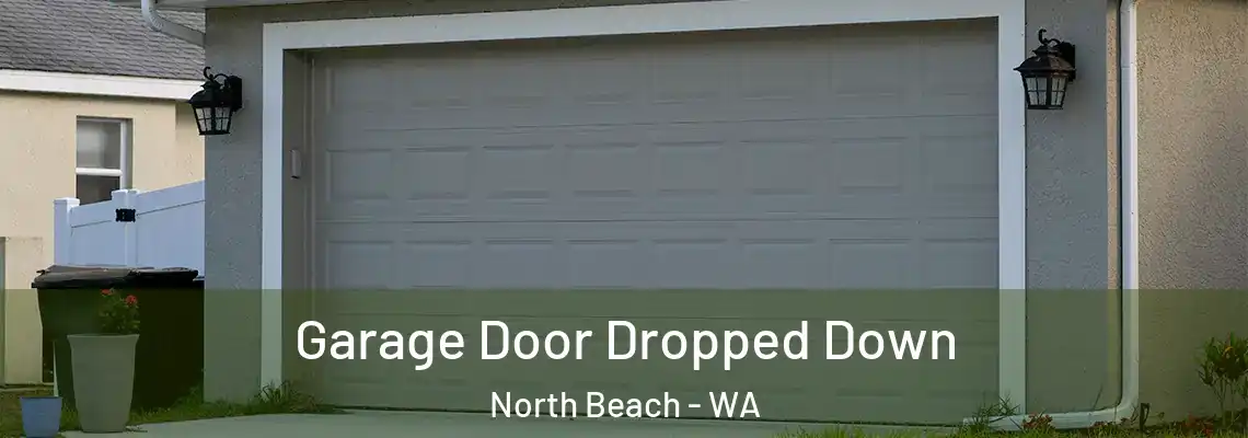  Garage Door Dropped Down North Beach - WA