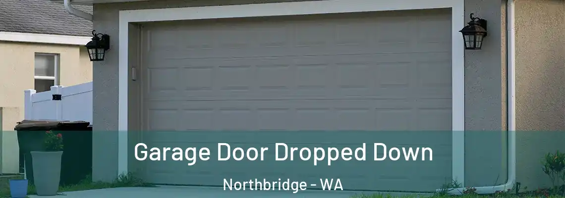  Garage Door Dropped Down Northbridge - WA