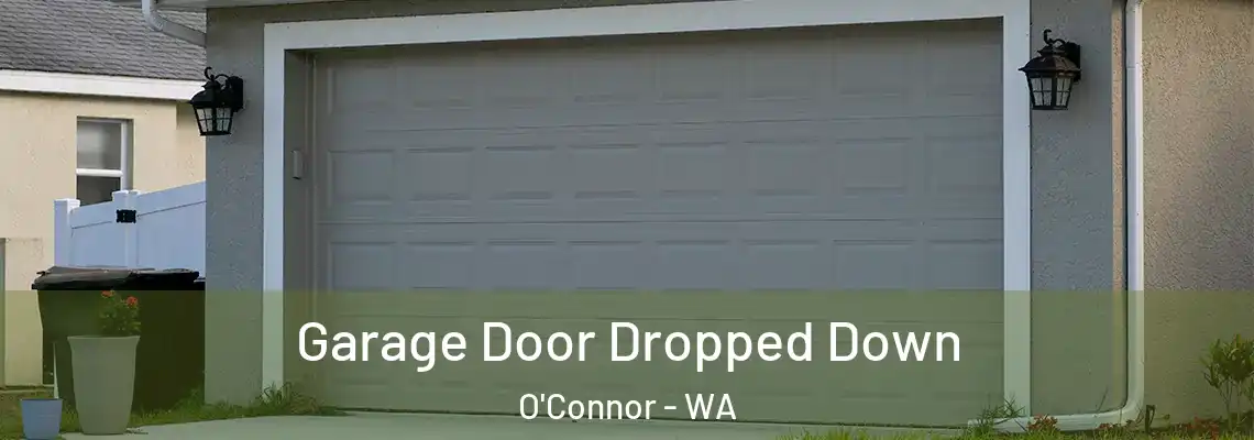  Garage Door Dropped Down O'Connor - WA