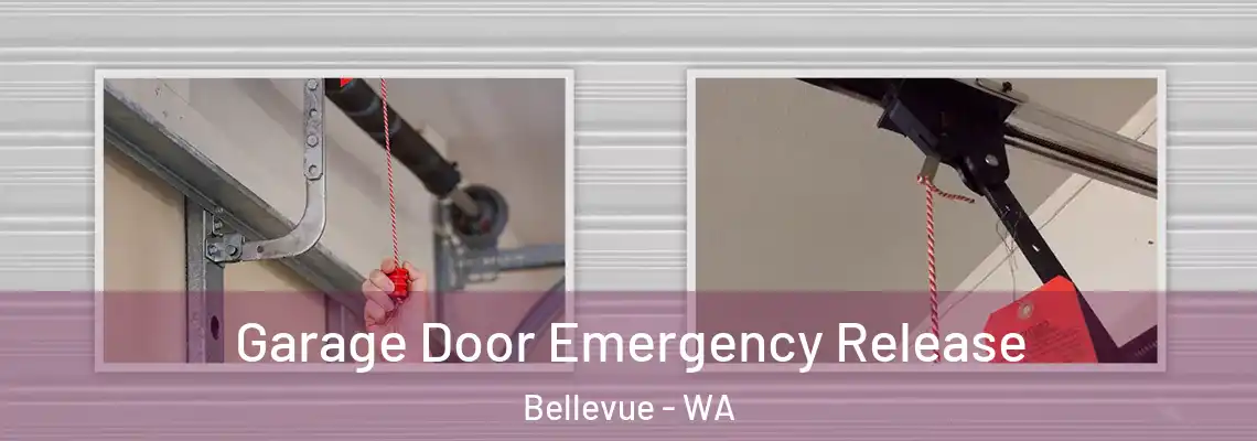  Garage Door Emergency Release Bellevue - WA