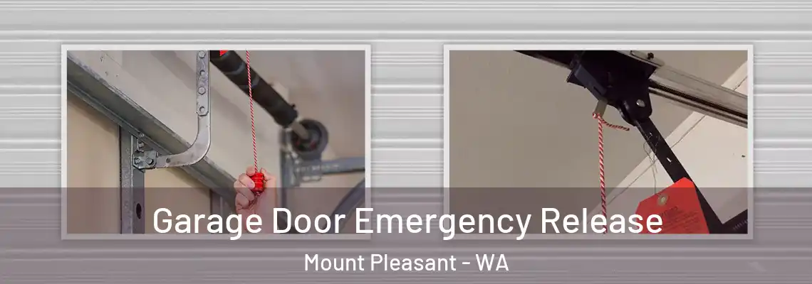  Garage Door Emergency Release Mount Pleasant - WA