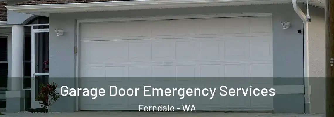  Garage Door Emergency Services Ferndale - WA