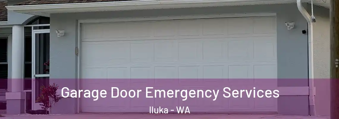  Garage Door Emergency Services Iluka - WA