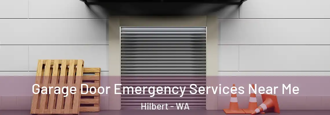  Garage Door Emergency Services Near Me Hilbert - WA