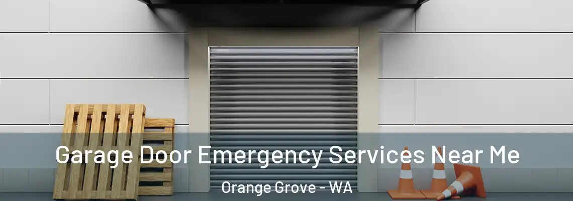  Garage Door Emergency Services Near Me Orange Grove - WA