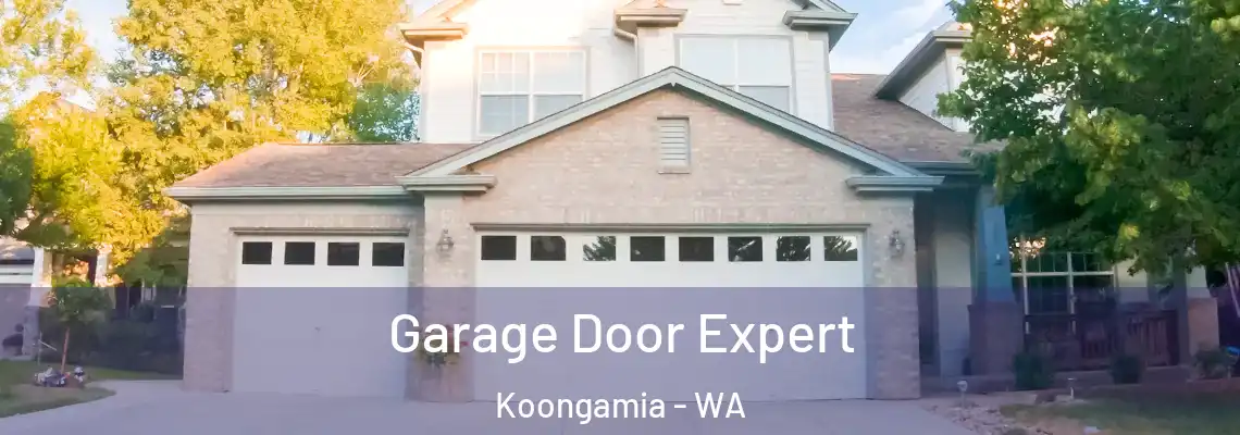  Garage Door Expert Koongamia - WA