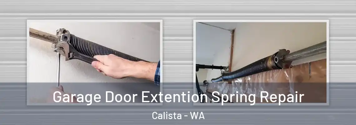 Garage Door Extention Spring Repair Calista - WA