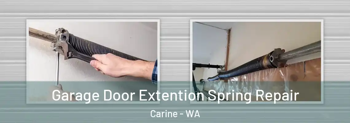  Garage Door Extention Spring Repair Carine - WA