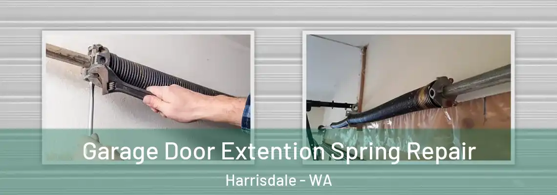 Garage Door Extention Spring Repair Harrisdale - WA