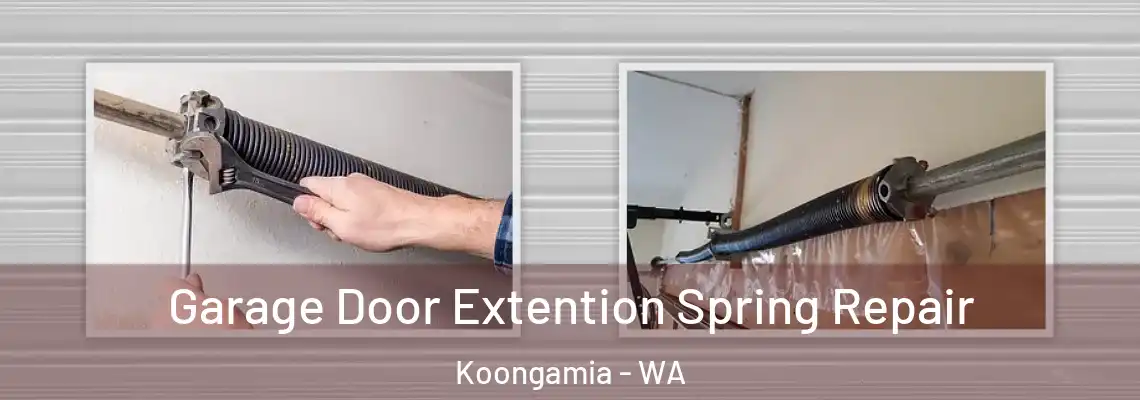  Garage Door Extention Spring Repair Koongamia - WA