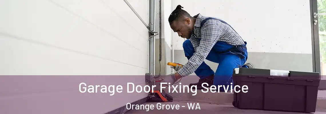 Garage Door Fixing Service Orange Grove - WA