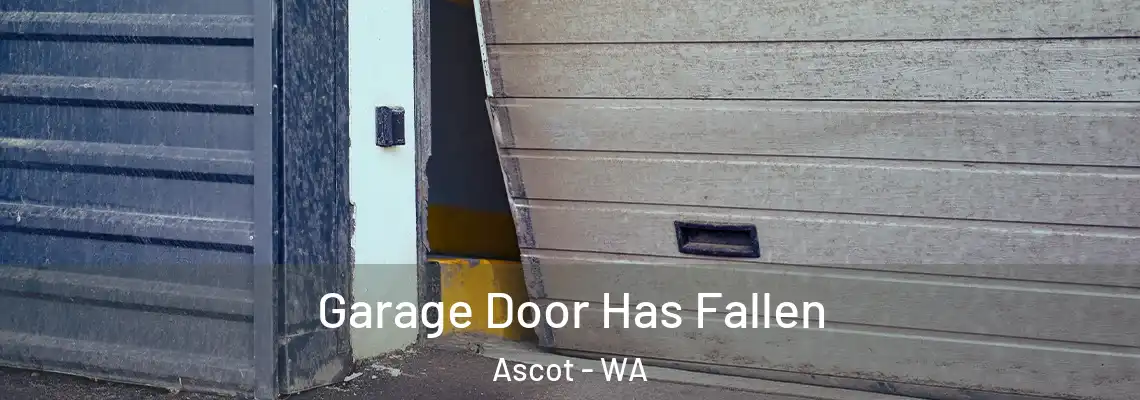  Garage Door Has Fallen Ascot - WA