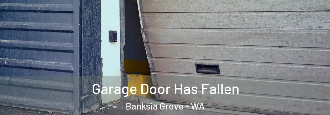  Garage Door Has Fallen Banksia Grove - WA
